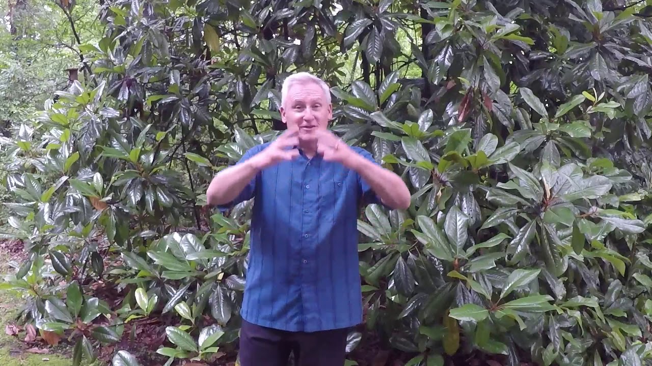 Sermon: Stay Positive (Part 4)...Pastor Doug Harr