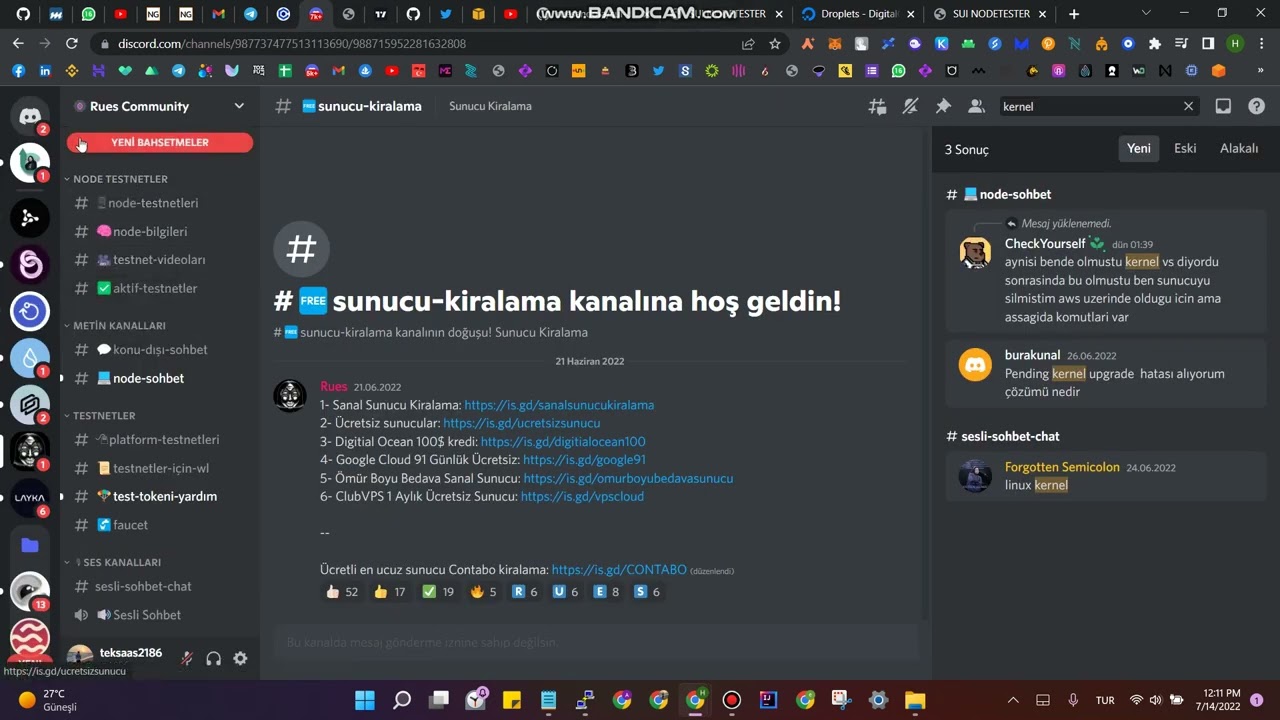 Sui Devnet Node Kurulumu.