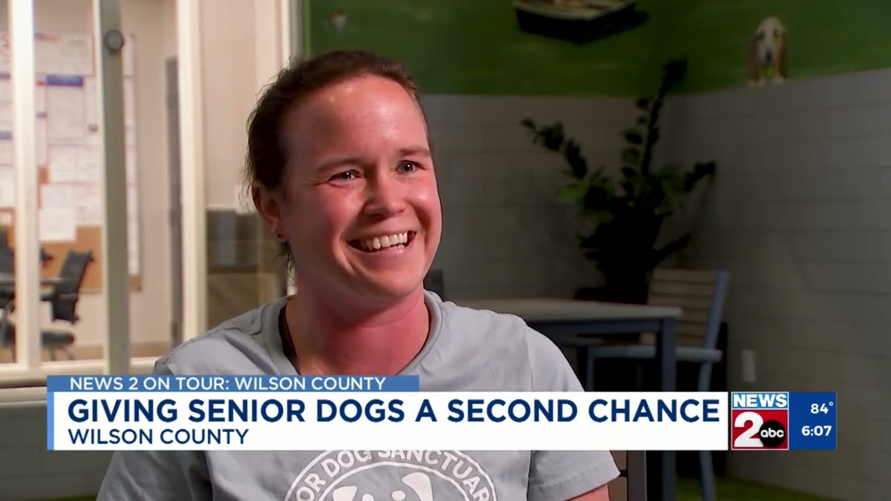 Old Friends Senior Dog Sanctuary