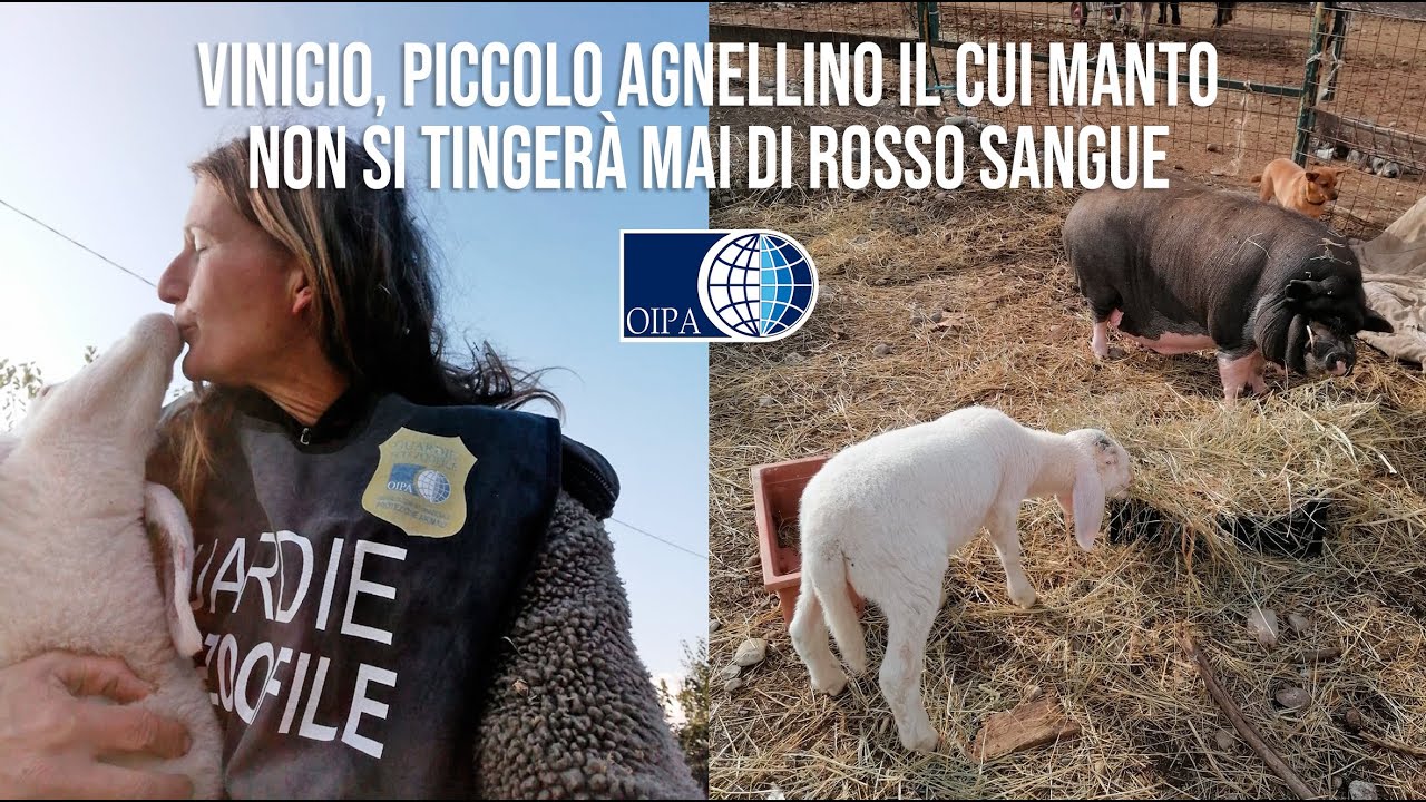 ALL’ALTRA SCUDERIA LE GUARDIE DELL’OIPA DI BERGAMO HANNO ACCOLTO VINICIO