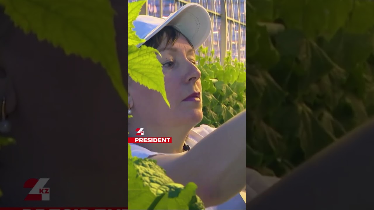 How digitalization helps farmers earn more #presidentofkazakhstan #tokayev