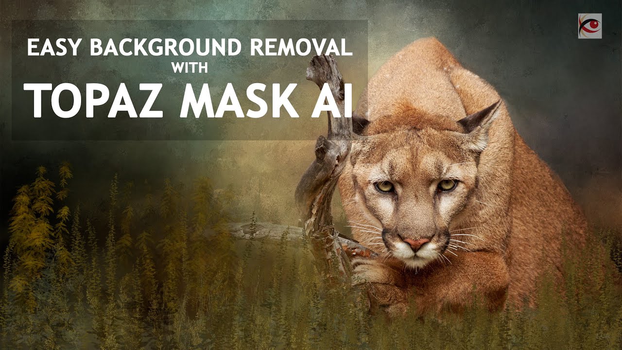 Easy Background Removal with Topaz Mask AI