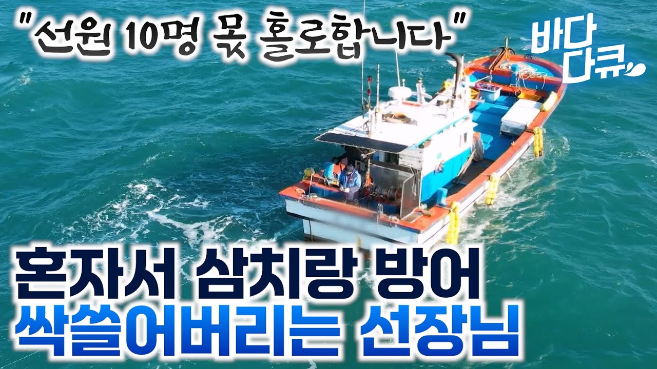 혼자서 이 정도 잡으면 진짜 쏠쏠합니다. 적적하긴 해도 어창 가득 삼치랑 방어 채워 돌아오는 선장님 / #바다다큐