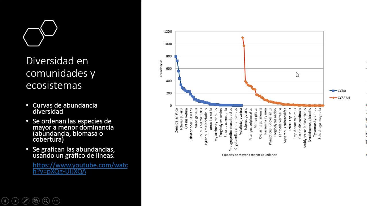 Concepto de diversidad en Comunidades y Ecosistemas