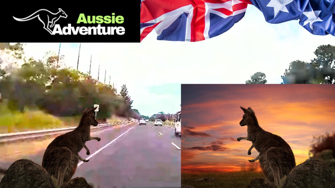 Exploring Down Under: Epic Road Trip Adventures Across Australia