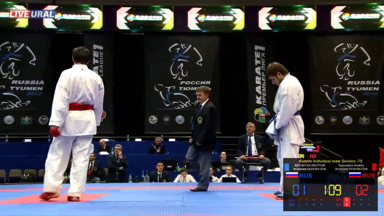 Kumite Individual male Seniors -75 Karate1 Premier League, Tyumen 2013