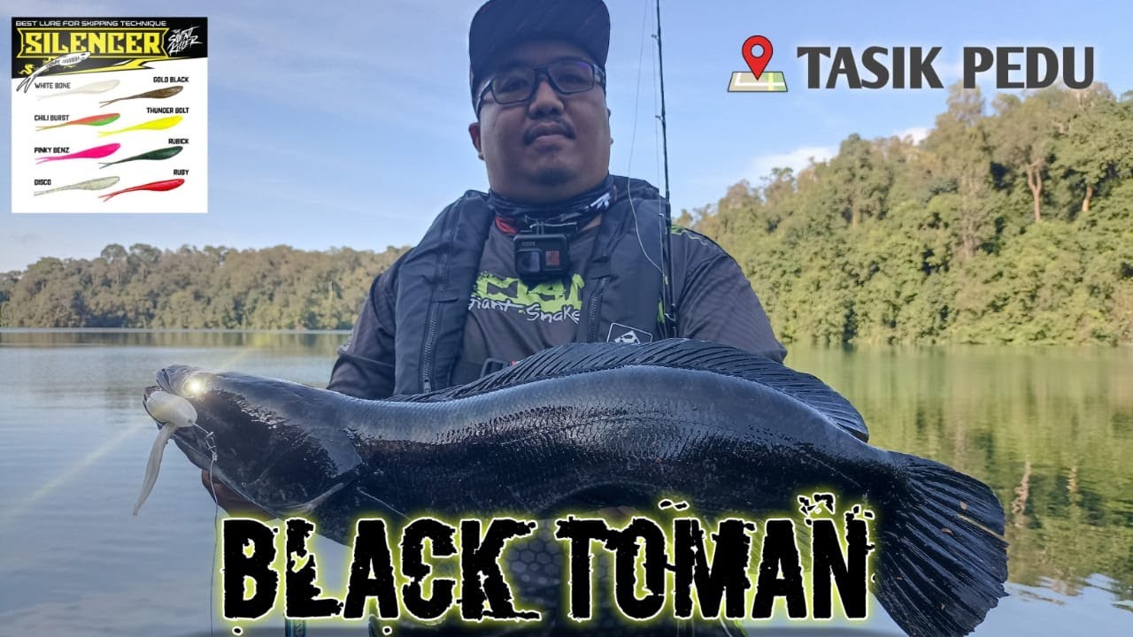 Hikayat Toman Hitam | Tasik Pedu Toman Heaven | SP Silencer Ozmy