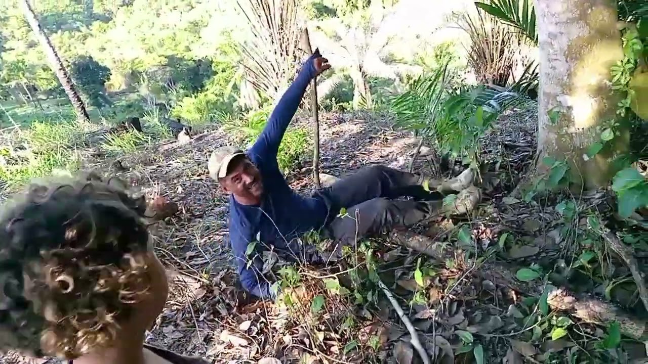 A colheita de jaca acabou virando um tombo