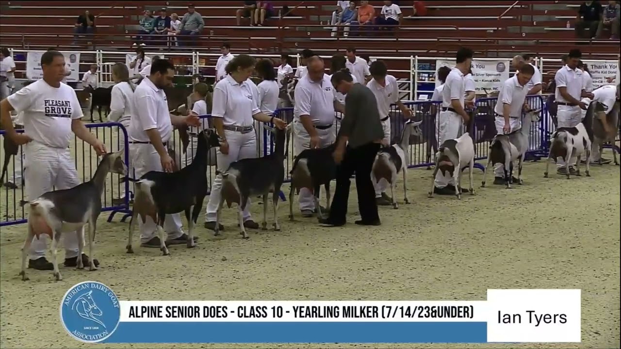 2025 ADGA Sr Alpine National Show