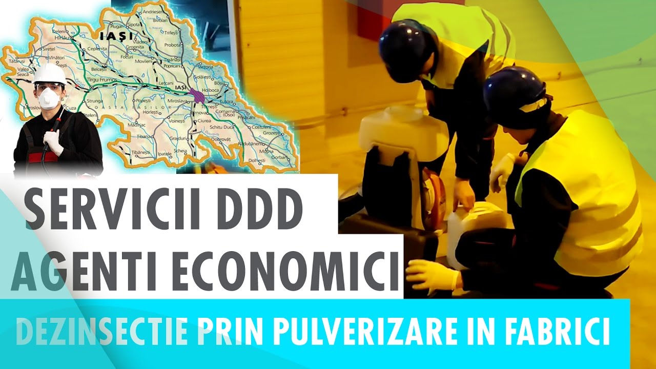 DDD Company Iasi Servicii DDD Deratizare si Dezinsectie in fabrici