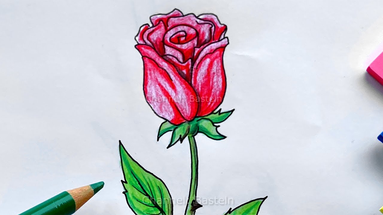 Malen lernen: Rose. Blumen zeichnen lernen für Anfänger mit Bleistift & Buntstiften zum Muttertag  🌹