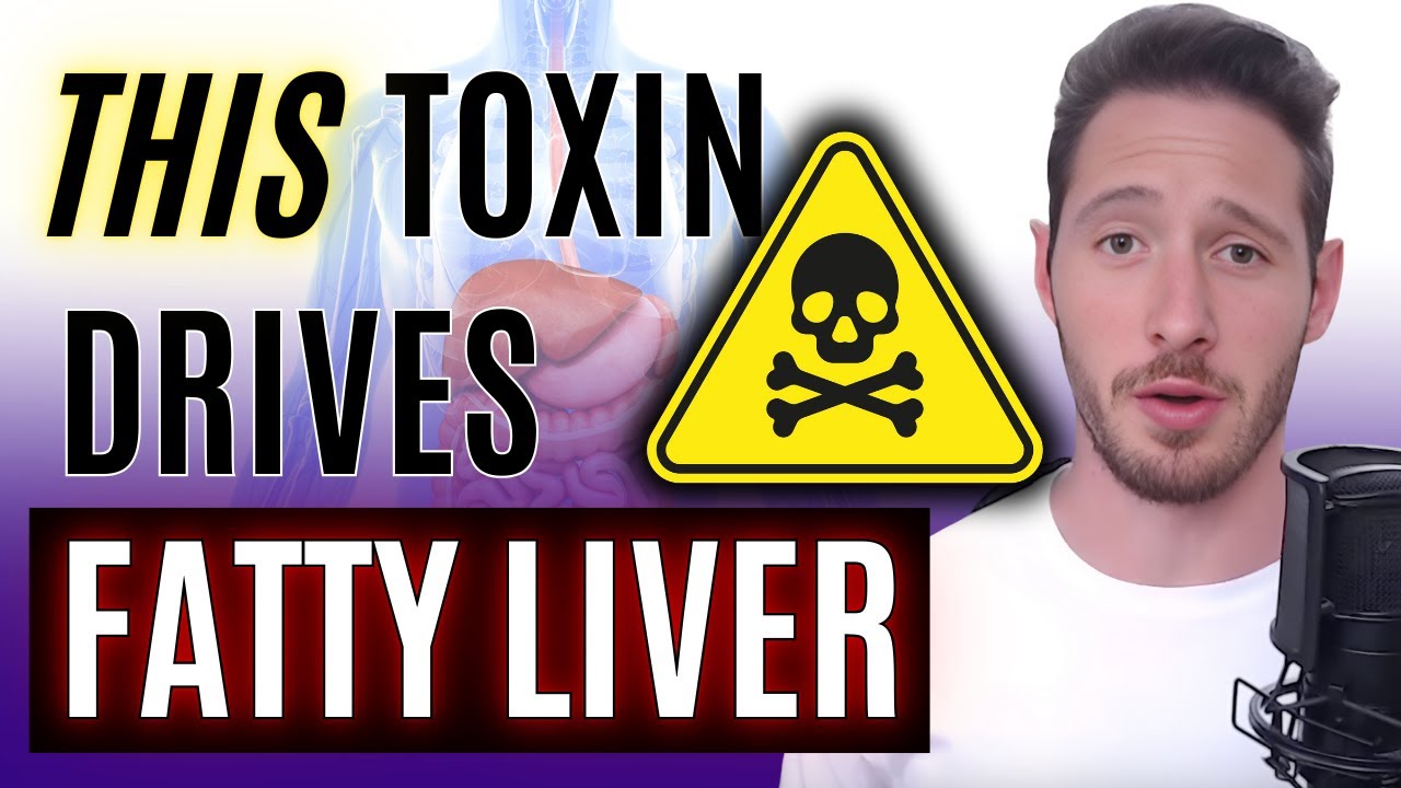 Endotoxin Increases Inflammation, Blocks Metabolic Function, and Drives Fatty Liver Disease