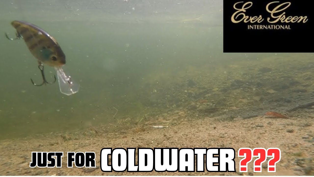 BEST JDM FLATSIDE CRANKBAIT THE EVERGREEN COMBAT CRANK