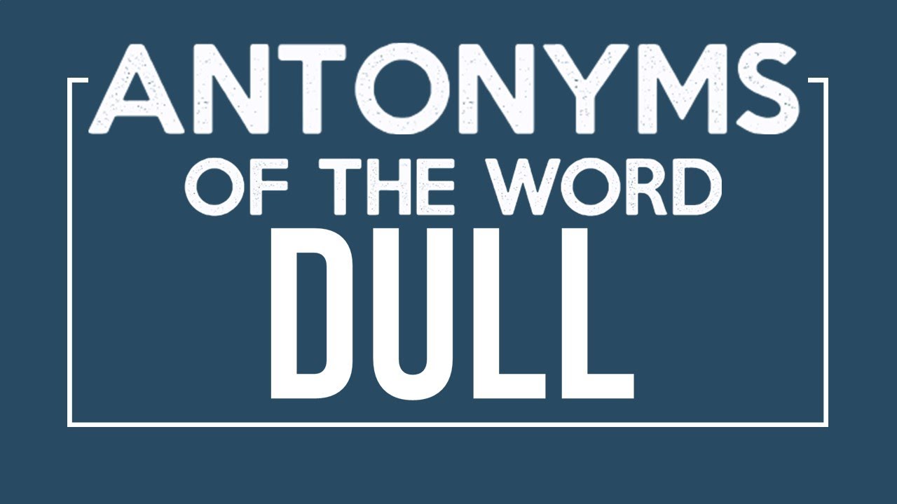 Antonyms of Dull