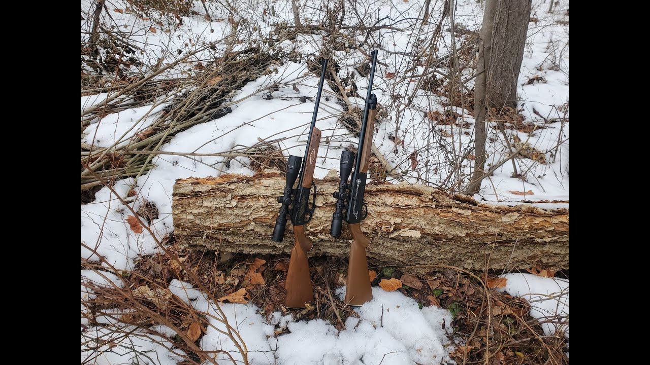 Crosman 2200 Magnum vs. Daisy Powerline 922  Old School Shoot-Out