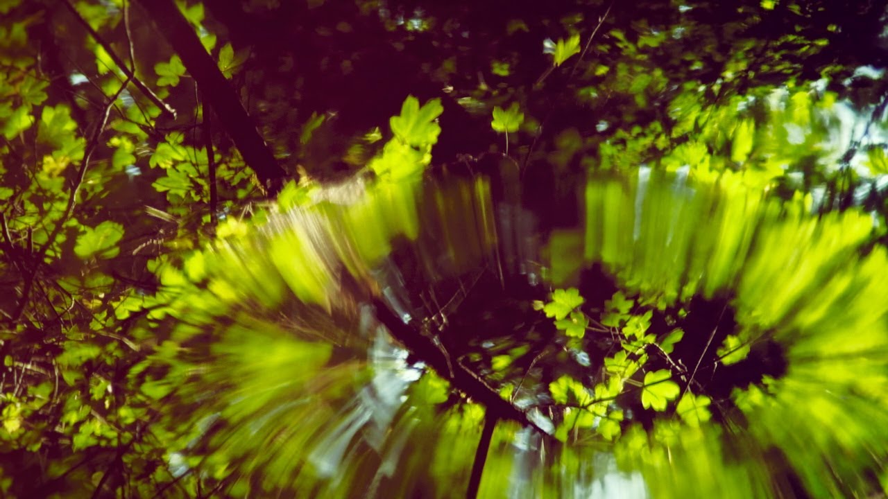 WATER REFLECTION, SHORT NATURE RELAXATION VIDEO + AMBIENT MUSIC, 4K