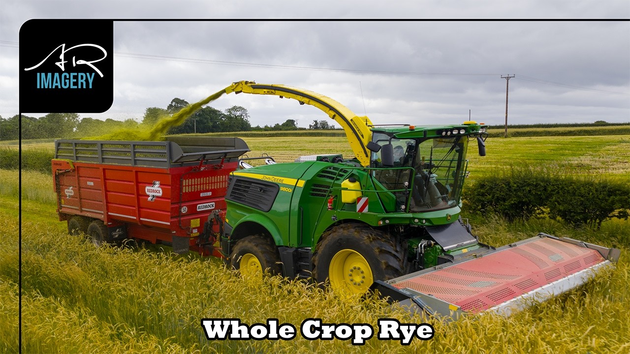 Heavy Whole Crop Rye Harvest | John Deere 9800i on Domai 6m | Lyons Contracts