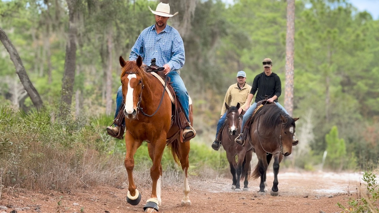 My OTTB's first TRAIL ride!