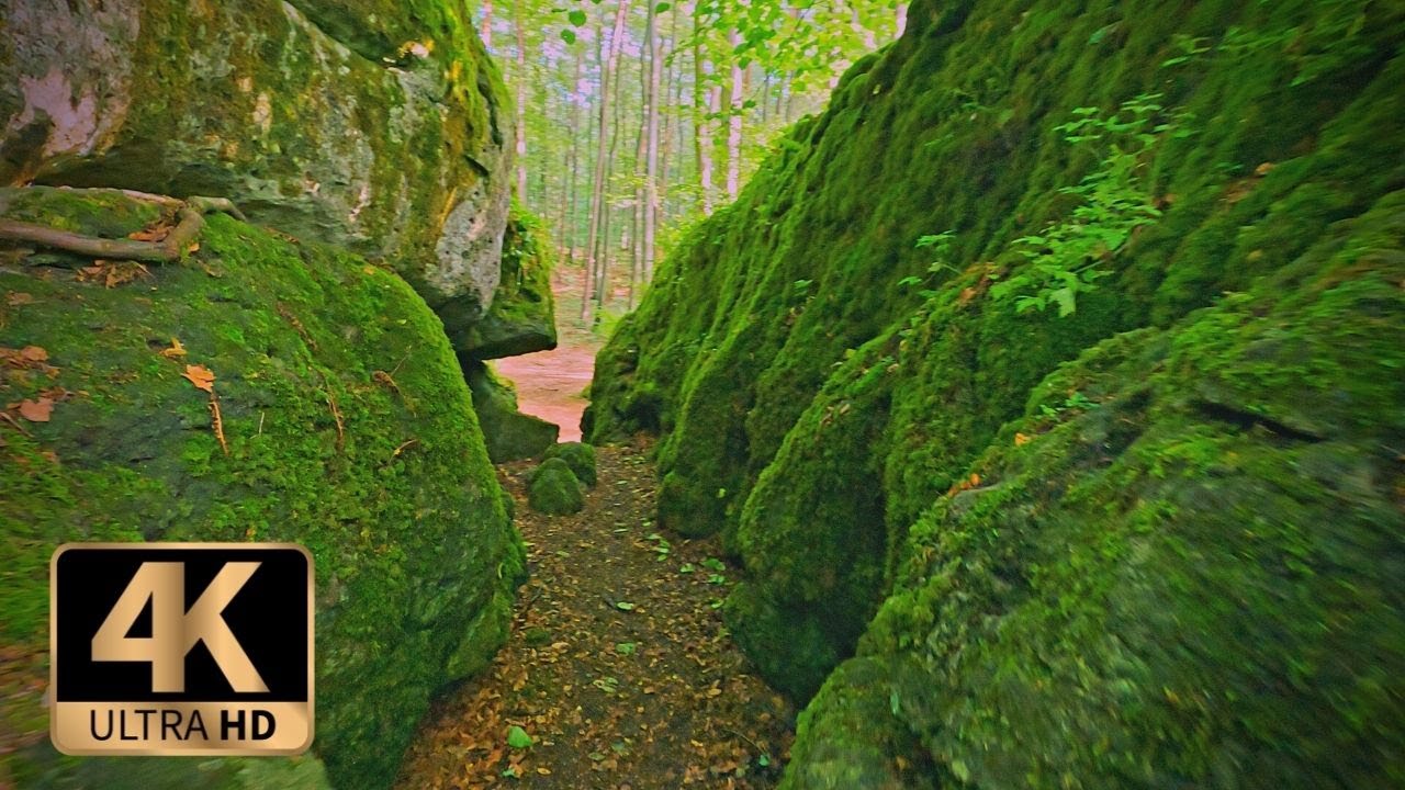 {4k} A rocky trail, full of wonders & a mystical forest |Only nature sounds| |Scenic Route|