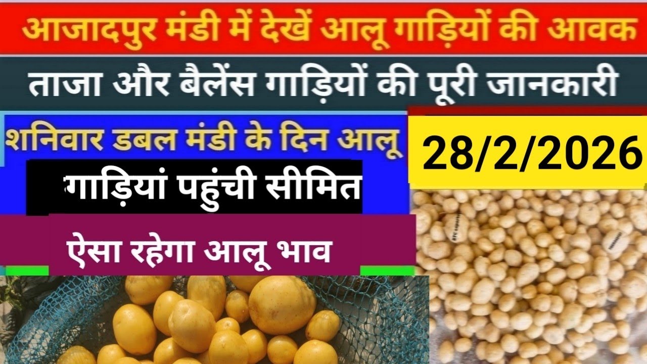 28/2/2026 आजादपुर मंडी में देखें आलू गाड़ियों की आवक//आज आलू गाड़ियों की आवक सीमित//aalu ka bhav 