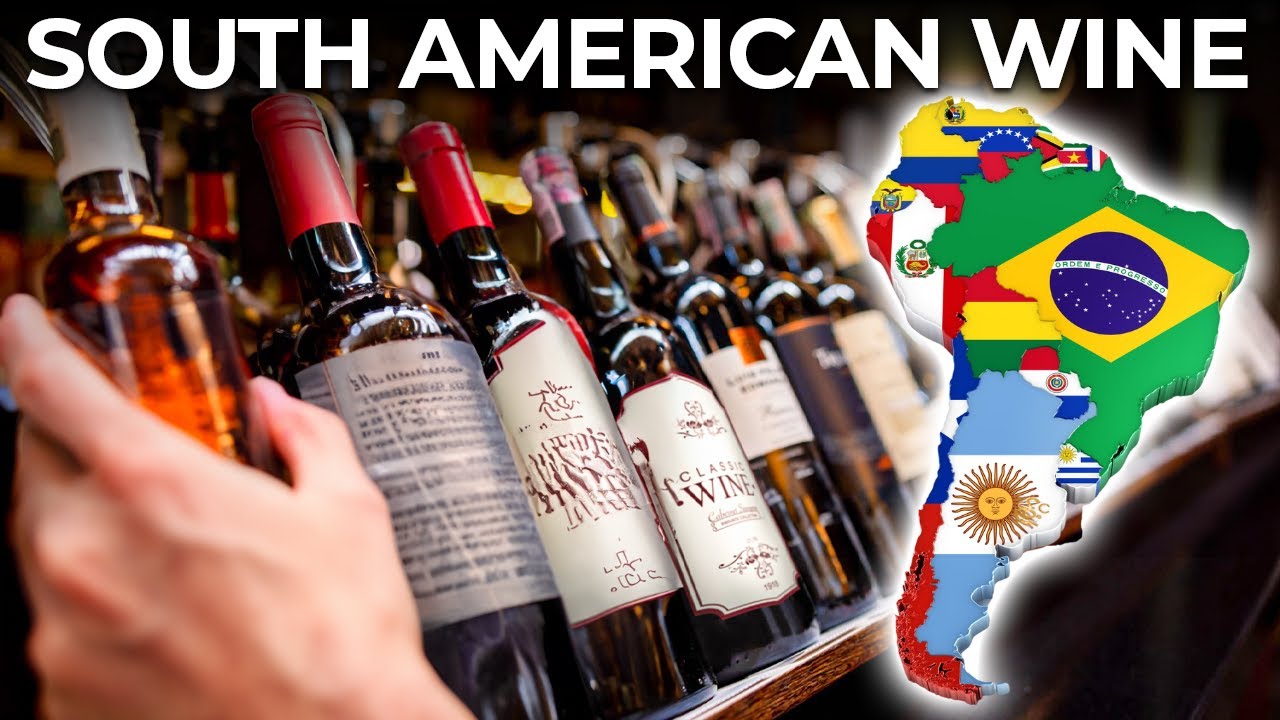 Discover the TOP 5 Wine Regions in South America