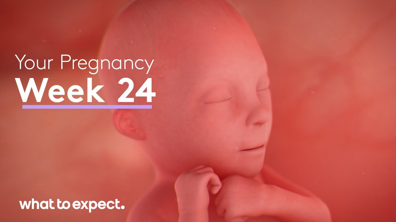 24 Weeks Pregnant - What to Expect