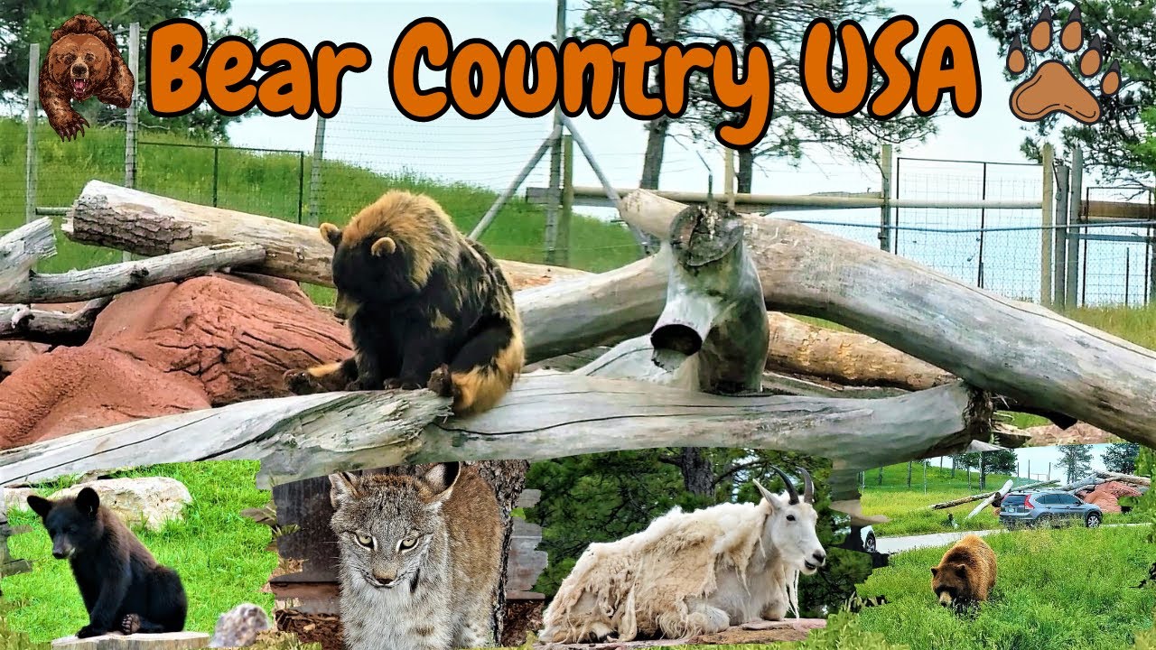 Bear Country USA Rapid City South Dakota Black Hills 2023