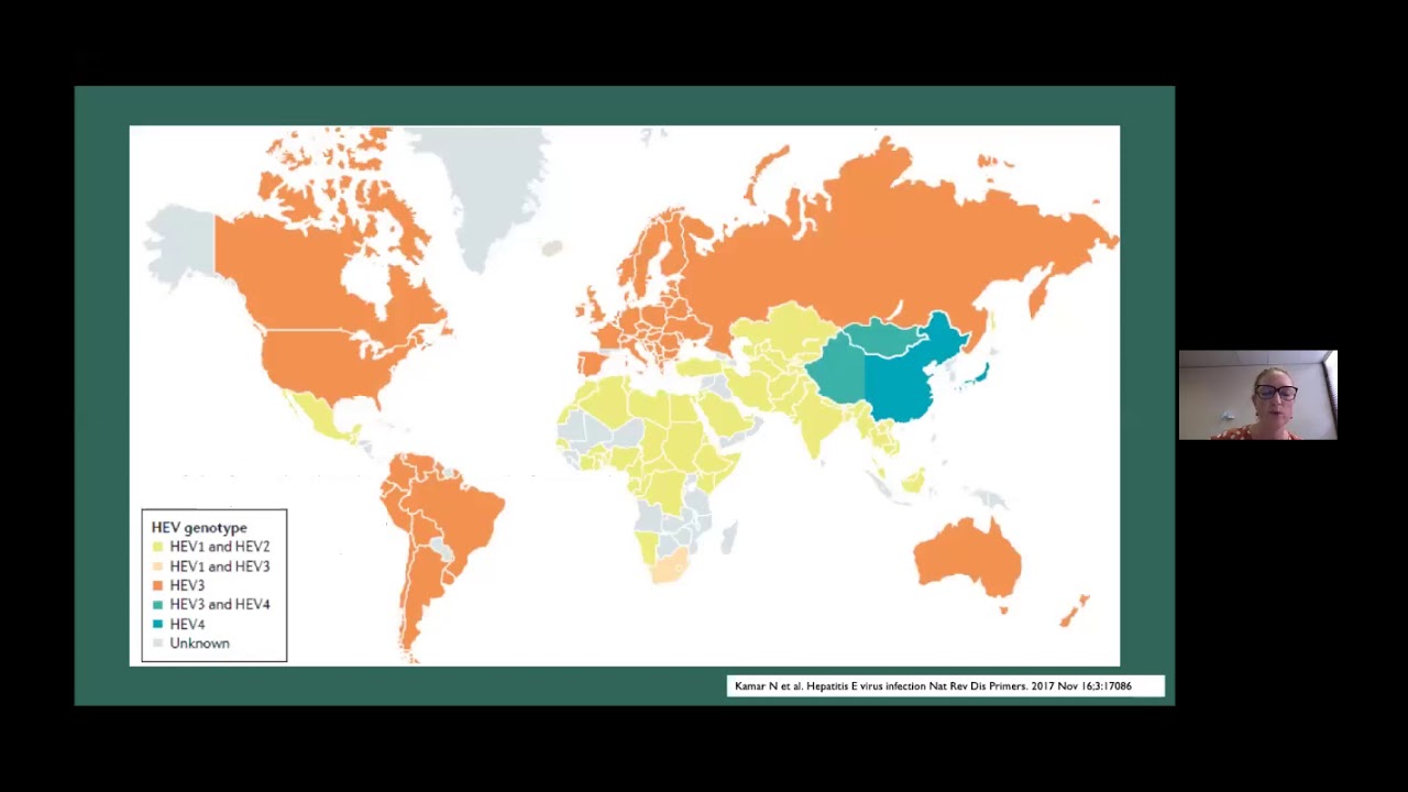 Hepatitis E: an unexpected threat? (Lauren Richards)