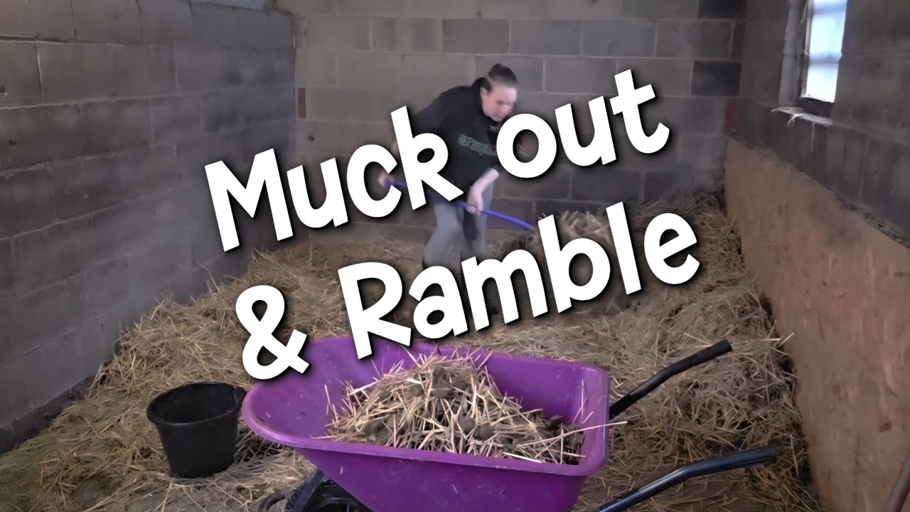 Daily Rambles / Catch Up / Muck Out The Pony With Me 