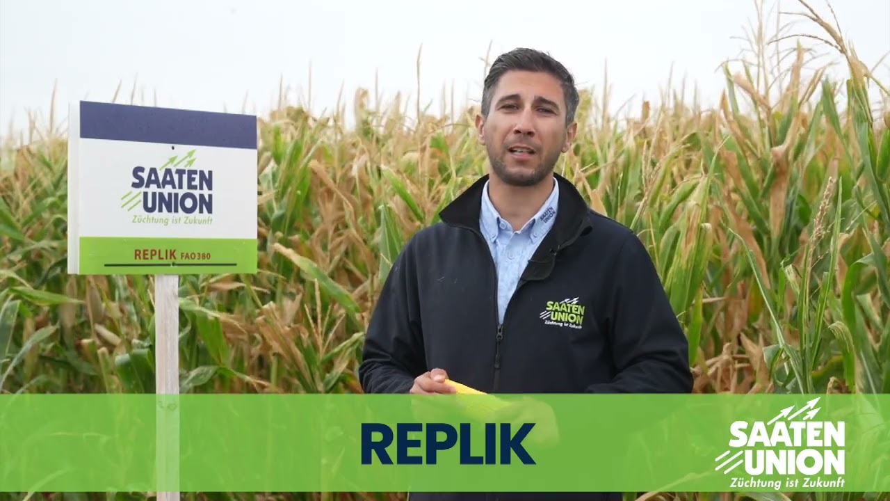 𝗥𝗲𝗽𝗹𝗶𝗸, 𝘂𝗻 𝗵𝗶𝗯𝗿𝗶𝗱 𝗱𝗲 𝗽𝗼𝗿𝘂𝗺𝗯 𝗰𝘂 𝘂𝗻 𝘀𝘁𝗮𝗿𝘁 𝗳𝗼𝗮𝗿𝘁𝗲 𝗯𝘂𝗻 𝗶̂𝗻 𝘃𝗲𝗴𝗲𝘁𝗮𝘁̦𝗶𝗲