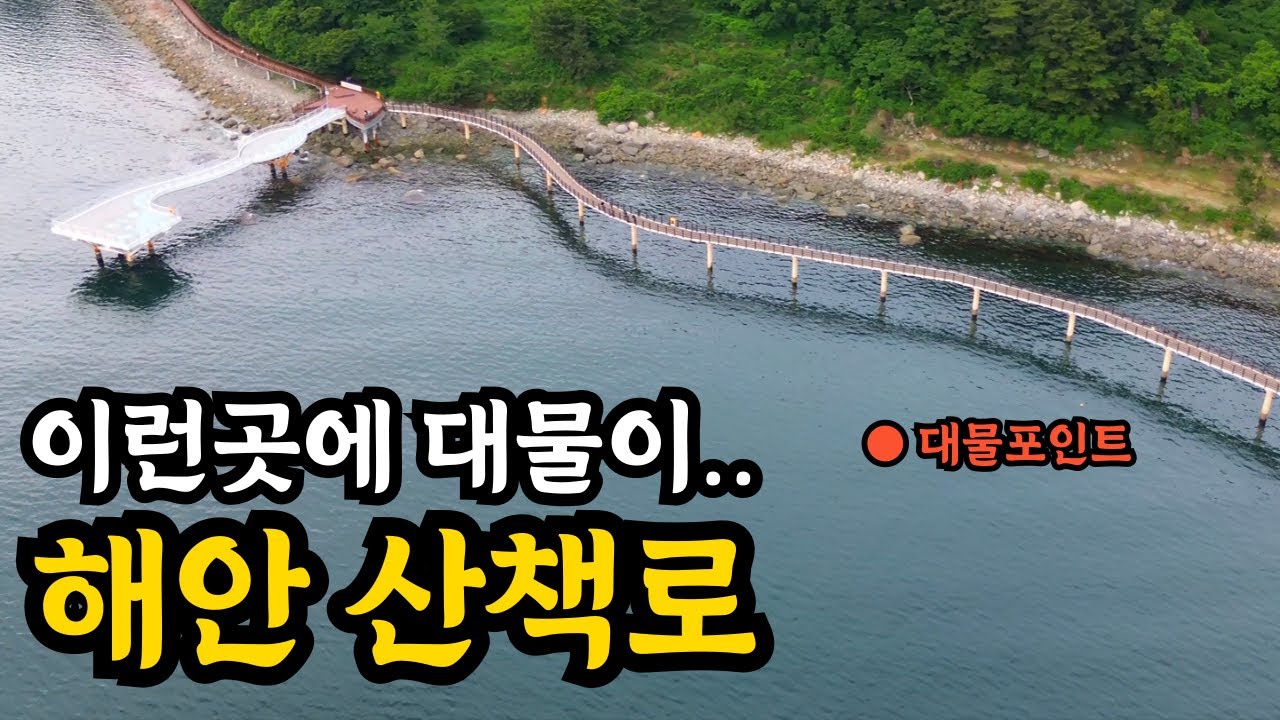 최고의 회맛을 가진 어종을 잡아보자