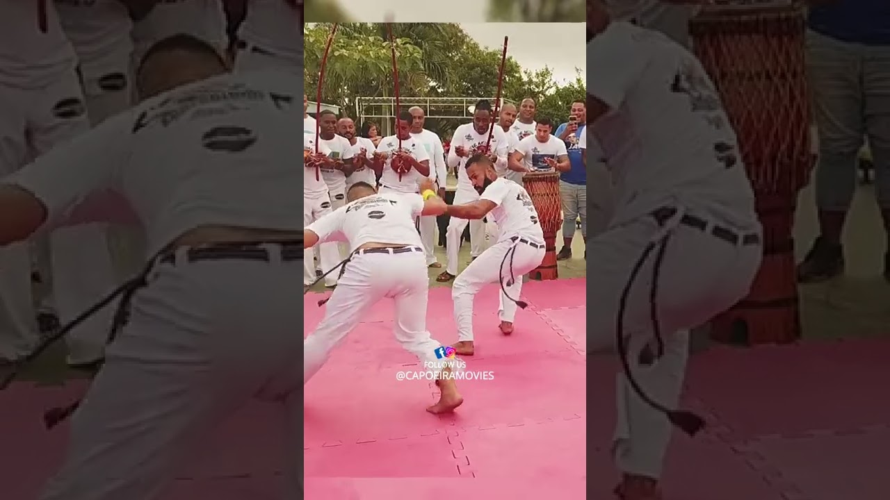 A &uacute;nica luta no mundo que ataca floreando 🤩