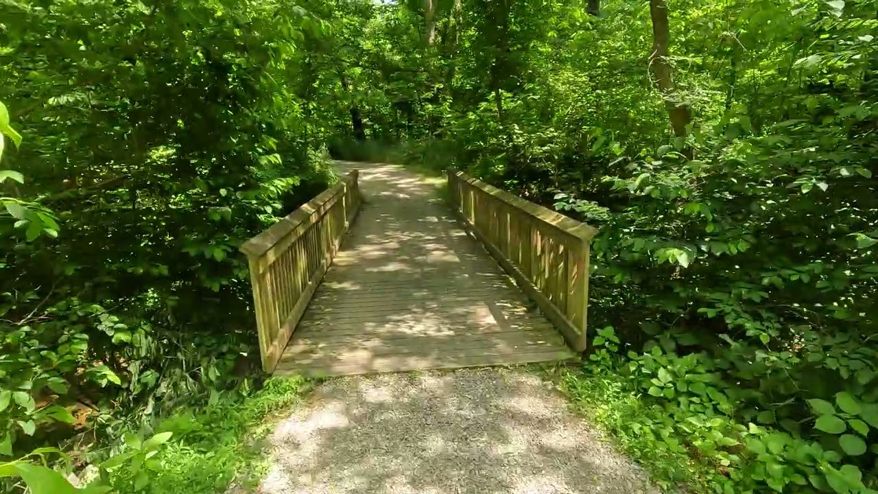 Gravel & Greenery ~ Through the Woods and to the Bridge