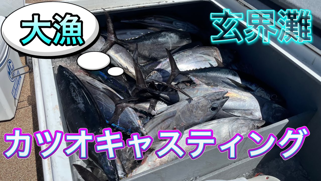 玄界灘のカツオキャスティング