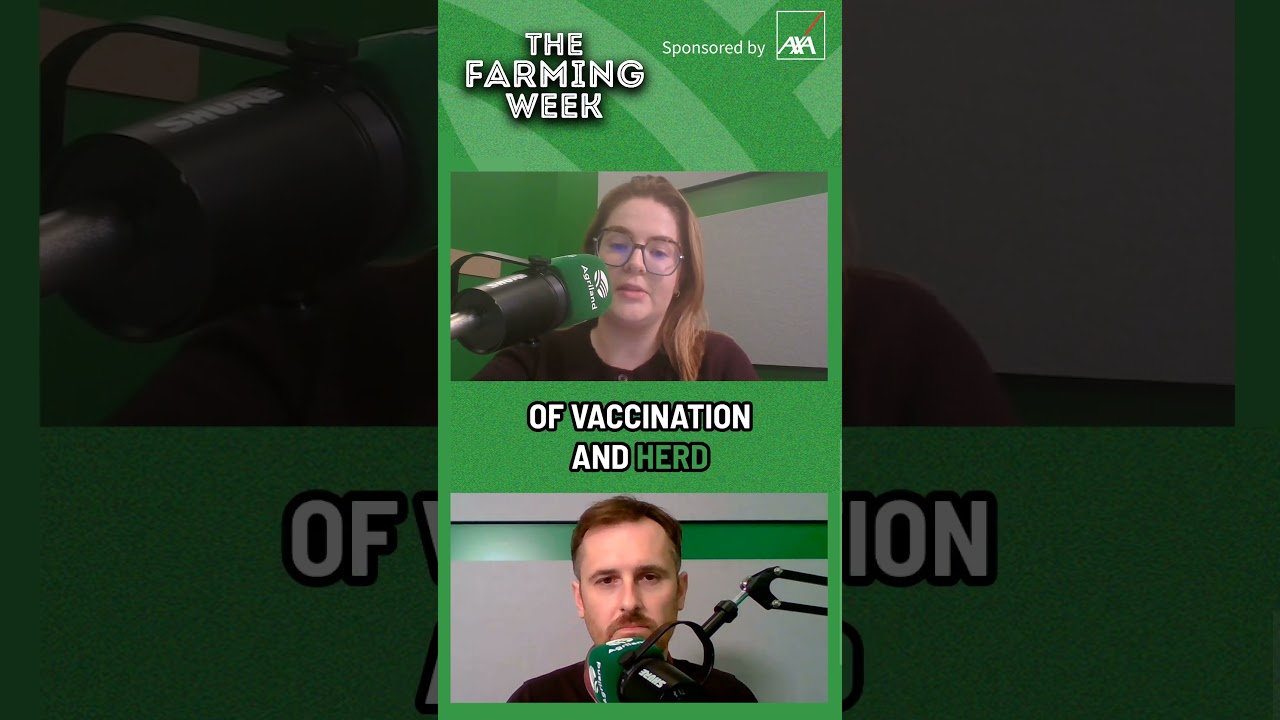 Possible boycott of weanling sales? | The Farming Week Podcast