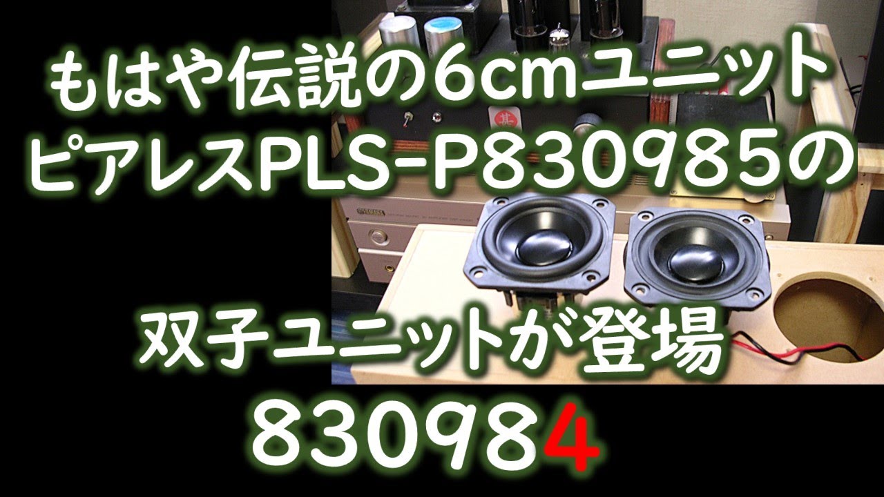 【伝説ユニット双子兄弟】ピアレスPLS-P830984