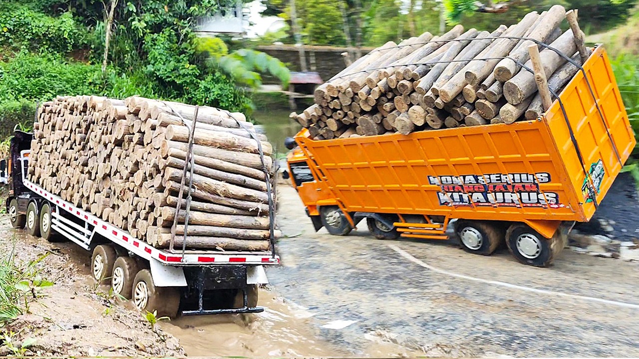 TERLALU OLENG Rc Truk Trailer Angkut Muatan Kayu Truk Laka Lintas Truk Fuso 220Ps OFROAD Rc Handmade