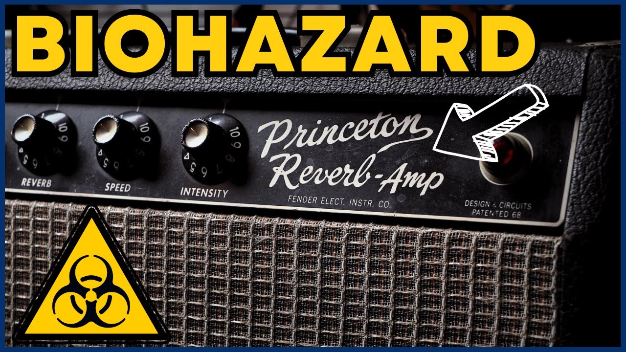 This amp was GROSS (but boy what a sound!)