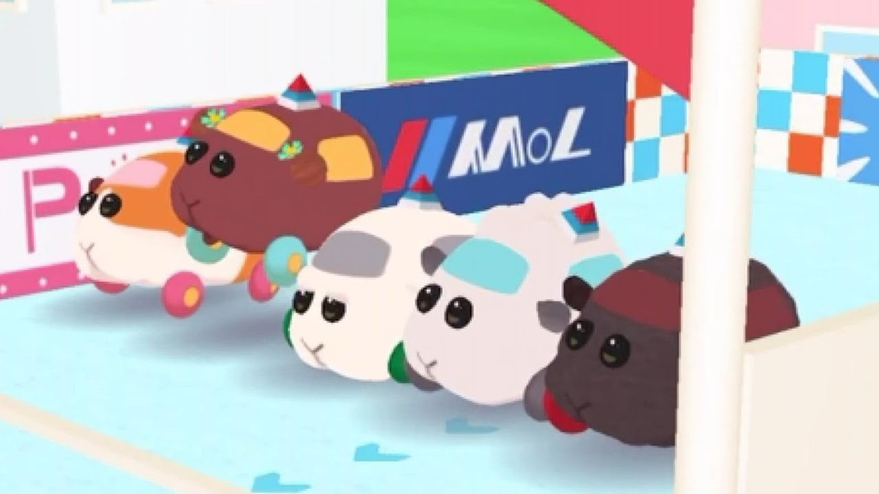 【モルカーDS】どきどき！新しいモルカーのゲームがリリースされたので遊んでみたよ！【PUIPUIモルカーどきどき !！DRIVING SCHOOL】【ぷいぷいモルカー】