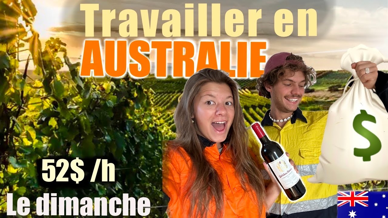 TRAVAILLER DANS UN VIGNOBLE 🤑🍷 (vlog, 88 jours, galères, argent facile)🇦🇺VAGAVLOG 22