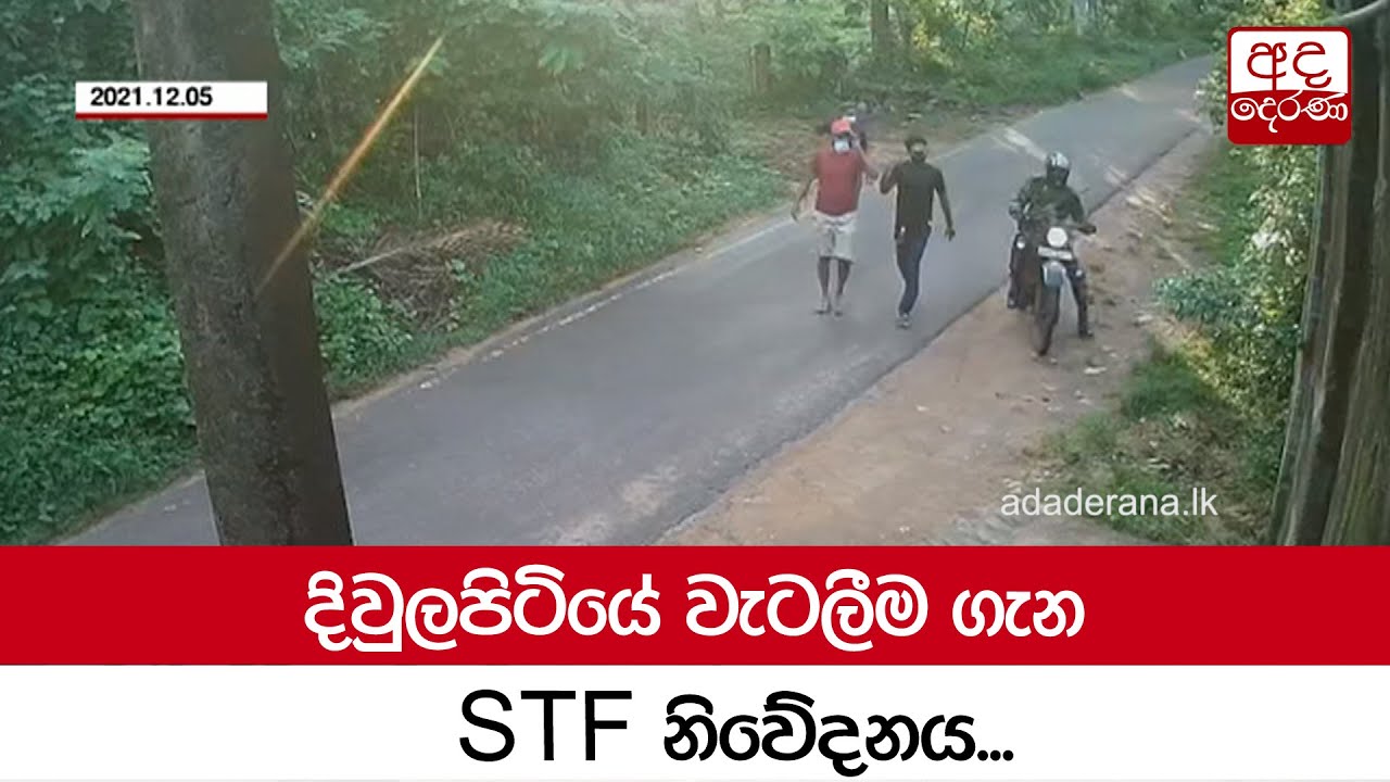 දිවුලපිටියේ වැටලීම ගැන STF නිවේදනය...