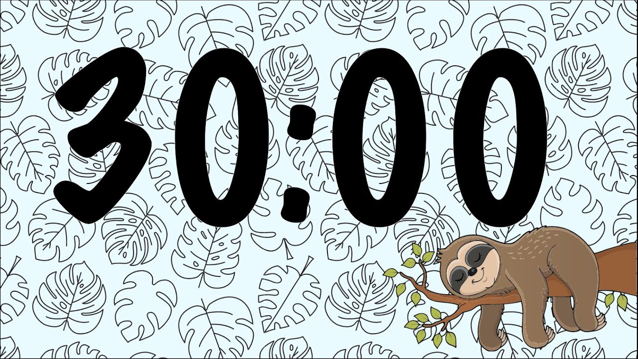30 Minute Sleepy Sloth Timer (Summer Synth Tones at End)