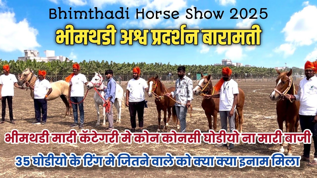 बारामती मे हुवी मादी कॅटेगरी की अच्छी रिंग | जीतने वाले मलिक को मिला इनाम | Bhimthadi Horse Show