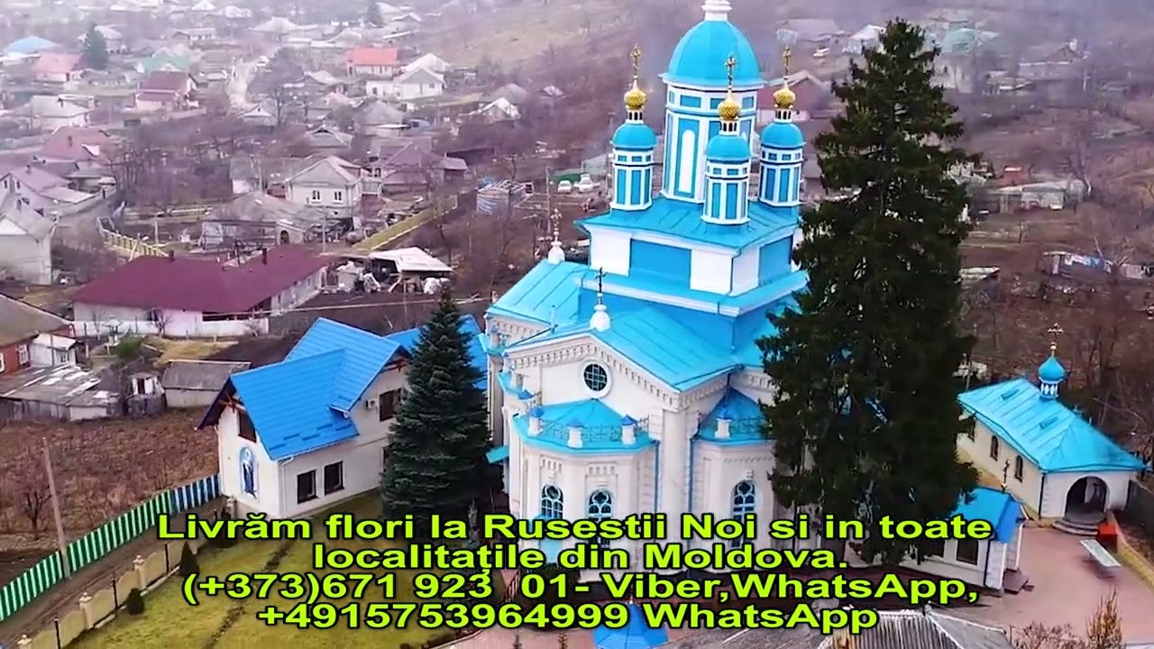 RUSESTI NOI. LIVRARE FLORI si  in toate localitațile din Moldova.WhatsApp +4915753964999 , 067192301