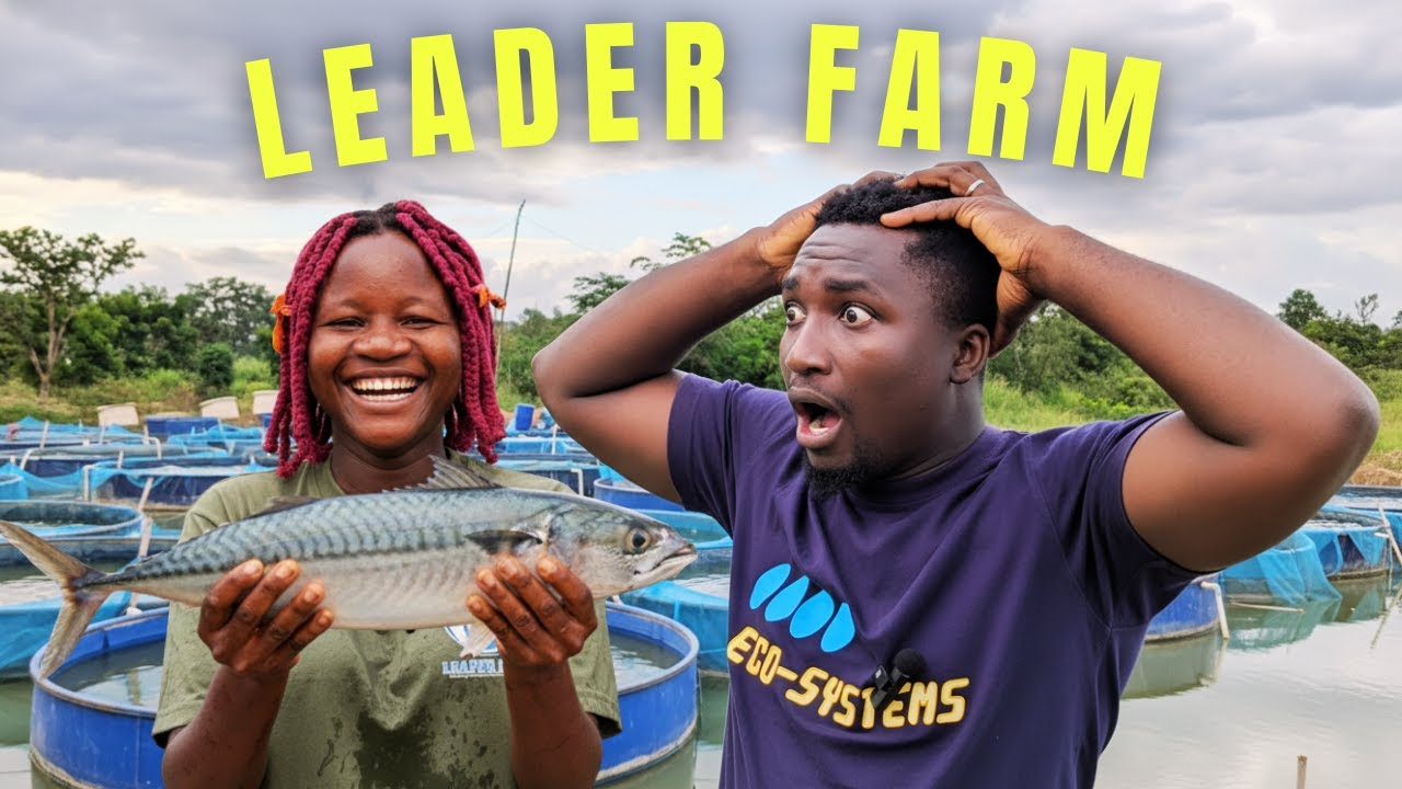 A MOINS DE 30 ANS, CETTE TOGOLAISE DIRIGE UN BUSINESS DE MILLIONS DE CFA (VISITE A LEADER FARM=