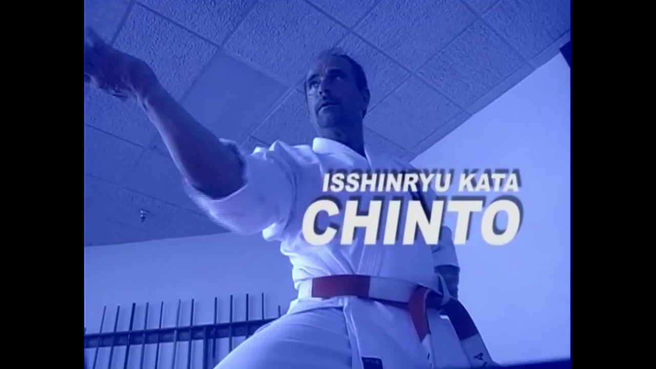 #MRkarate ™ Mike Reeves Isshinryu Kata #5 CHINTO #isshinryukata #karate #martialarts #shorts