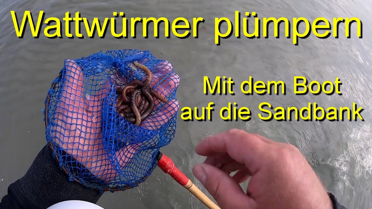 Wattw&uuml;rmer pl&uuml;mpern. Mit dem Boot auf die Sandbank. Tipps f&uuml;r Wattwurm-Anf&auml;nger😉.