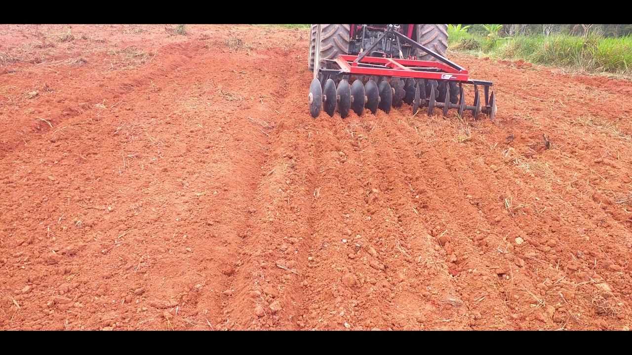 Grade niveladora  para plantio