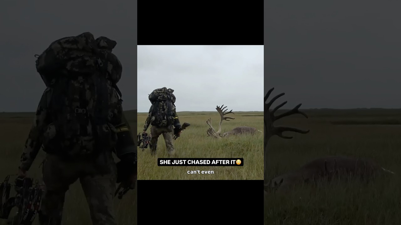 Running through tundra while filming…that’s 