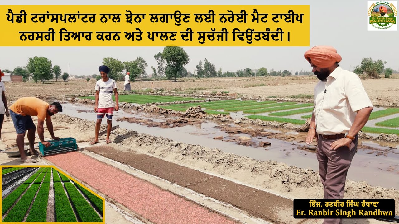 Proper Method Of Preparation & Rearing Of Mat Type Nursery For Paddy Transplanter.